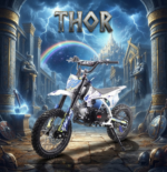 PIT BIKE NCX THOR PRO 125CC RUOTE 14/12