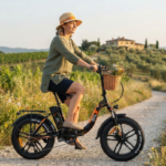 FAT BIKE NCX BLACKSTONE ALLOY 250 WATT 36 VOLT