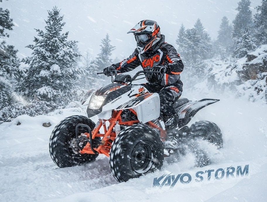 fe0e8e0f-d024-43b0-8220-1ef80fd8b929 QUAD KAYO STORM 150CC RUOTE 10 - immagine 1