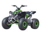 QUAD AF RENEGADE XXL 125CC RUOTE 8 - immagine 3