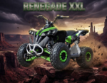 QUAD AF RENEGADE XXL 125CC RUOTE 8