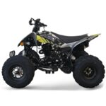 QUAD LEM KONDOR 250CC RUOTE 10 - immagine 2