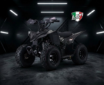 QUAD LEM KONDOR PRO 110CC RUOTE 7