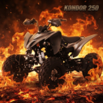 QUAD LEM KONDOR 250CC RUOTE 10