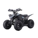 QUAD LEM KONDOR PRO 110CC RUOTE 7 - immagine 2