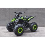 QUAD RAPTOR 110CC RUOTE 7 - immagine 3