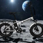 FAT BIKE SCHIANO 250 WATT 36 VOLT