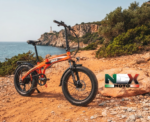 E-BIKE ELETTRICA NCX BAHIA 250 WATT 36 VOLT