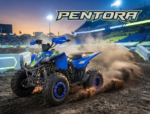 QUAD PENTORA 125CC RUOTE 8 - immagine 4