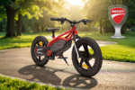 BICICLETTA ELETTRICA DUCATI