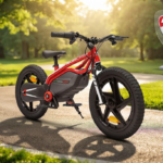 BICICLETTA ELETTRICA DUCATI