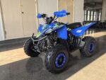 QUAD PENTORA 125CC RUOTE 8 - immagine 3