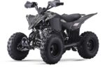 QUAD LEM KONDOR 125CC RUOTE 8