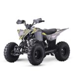 QUAD LEM KONDOR 125CC RUOTE 8