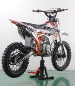 PIT BIKE NCX THOR EVOLUTION 125CC RUOTE 17/14