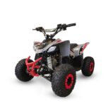 QUAD LEM BABY KONDOR 110CC RUOTE 7