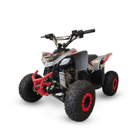 QUAD LEM BABY KONDOR 110CC RUOTE 7