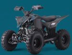 QUAD LEM KONDOR 125CC RUOTE 8