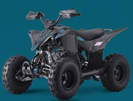 QUAD LEM KONDOR 125CC RUOTE 8