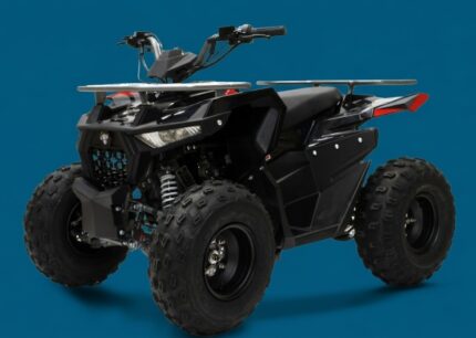 QUAD LEM HUMMER 125CC RUOTE 8