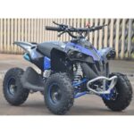 MINIQUAD AF RENEGADE 50CC RUOTE 6