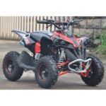 MINIQUAD AF RENEGADE 50CC RUOTE 6