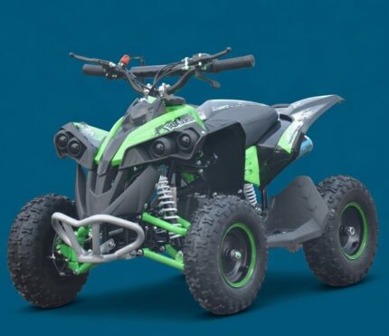MINIQUAD AF RENEGADE 50CC RUOTE 6
