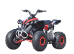 QUAD AF RENEGADE XXL 125CC RUOTE 8