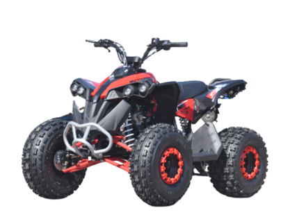 QUAD AF RENEGADE XXL 125CC RUOTE 8