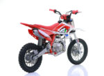 PIT BIKE AUTOMATICA CVM THUNDER 110CC RUOTE 14/12