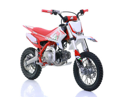 PIT BIKE AUTOMATICA CVM THUNDER 110CC RUOTE 14/12