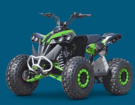 QUAD AF RENEGADE XXL 125CC RUOTE 8