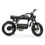 FAT BIKE APE-RYDER GIBBON 250 WATT 48 VOLT