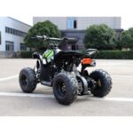 QUAD AF RENEGADE 110CC RUOTE 6