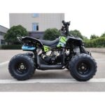 QUAD AF RENEGADE 110CC RUOTE 6