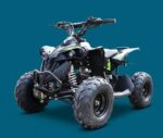 QUAD AF RENEGADE 110CC RUOTE 6