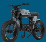FAT BIKE APE-RYDER GIBBON 250 WATT 48 VOLT