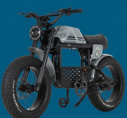 FAT BIKE APE-RYDER GIBBON 250 WATT 48 VOLT