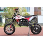 MINICROSS DOPPIO SCARICO AF DRAGON 50CC RUOTE 10"