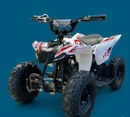 MINIQUAD ELETTRICO KAYO 800 WATT 36 VOLT RUOTE 6