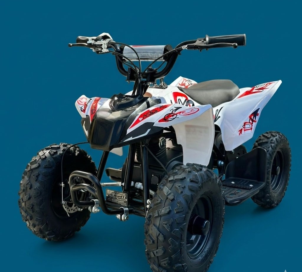 MINIQUAD ELETTRICO KAYO 800 WATT 36 VOLT RUOTE 6