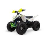 QUAD LEM KONDOR 110CC RUOTE 7