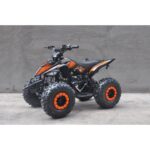 QUAD RAPTOR 110CC RUOTE 7