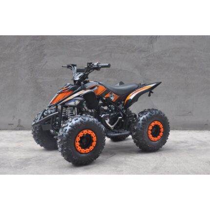 QUAD RAPTOR 110CC RUOTE 7
