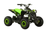 MINIQUAD ELETTRICO CVM E-LION 1200 WATT