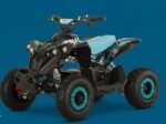 MINIQUAD ELETTRICO CVM E-LION 1200 WATT