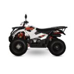QUAD KAYO AU OMOLOGATO T3B 300CC TARGA GIALLA 2 POSTI