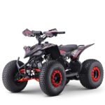 QUAD VIPER LEM 125CC RUOTE 8