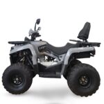 QUAD TARGABILE LEM HUMMER PRO 200CC RUOTE 10