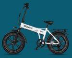 FAT BIKE RINCC AUTONOMIA 60 KM